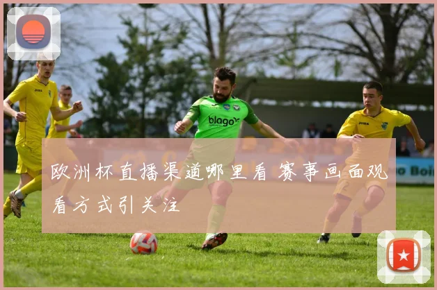 欧洲杯直播渠道哪里看 赛事画面观看方式引关注