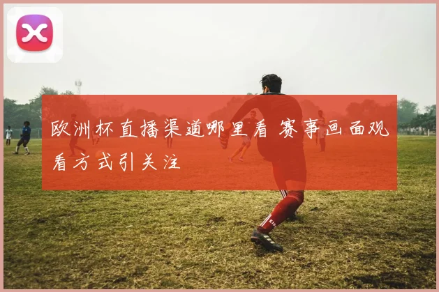 欧洲杯直播渠道哪里看 赛事画面观看方式引关注