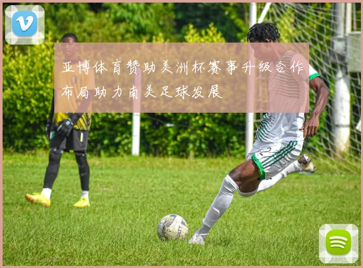 亚博体育赞助美洲杯赛事升级合作布局助力南美足球发展