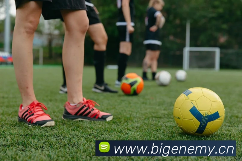 开云官方登陆入口服务体系